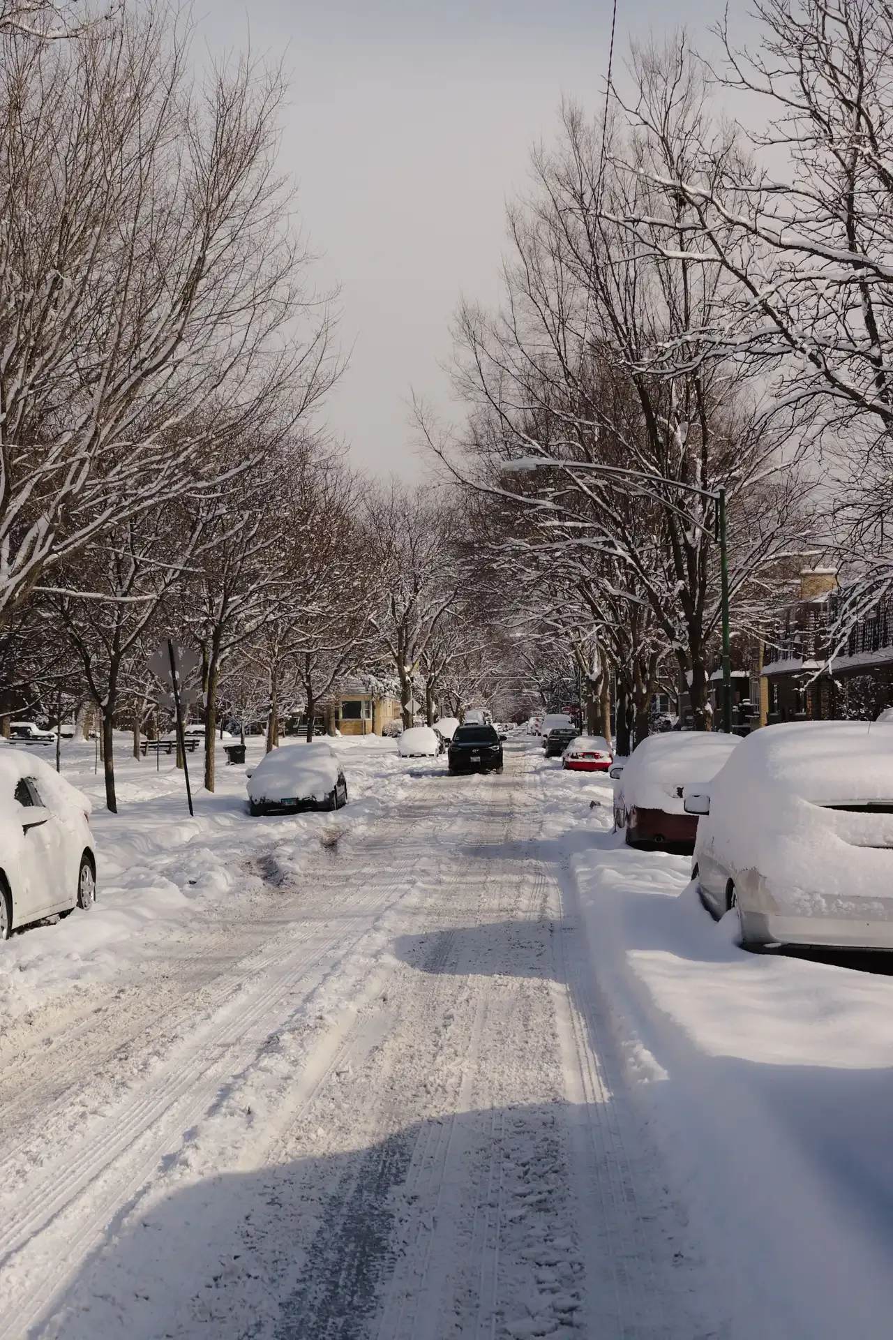Heavy lake-effect snow accumulation in Erie, PA